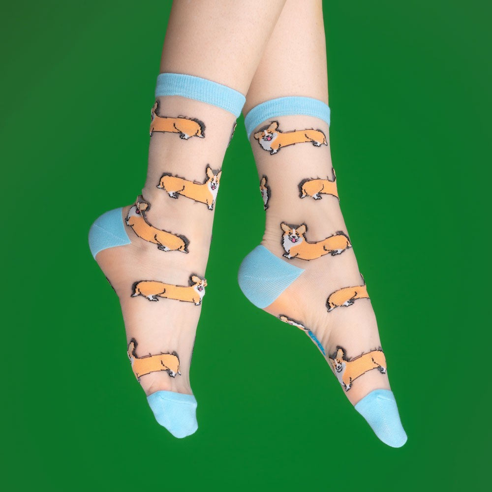 Corgi socks, sheer