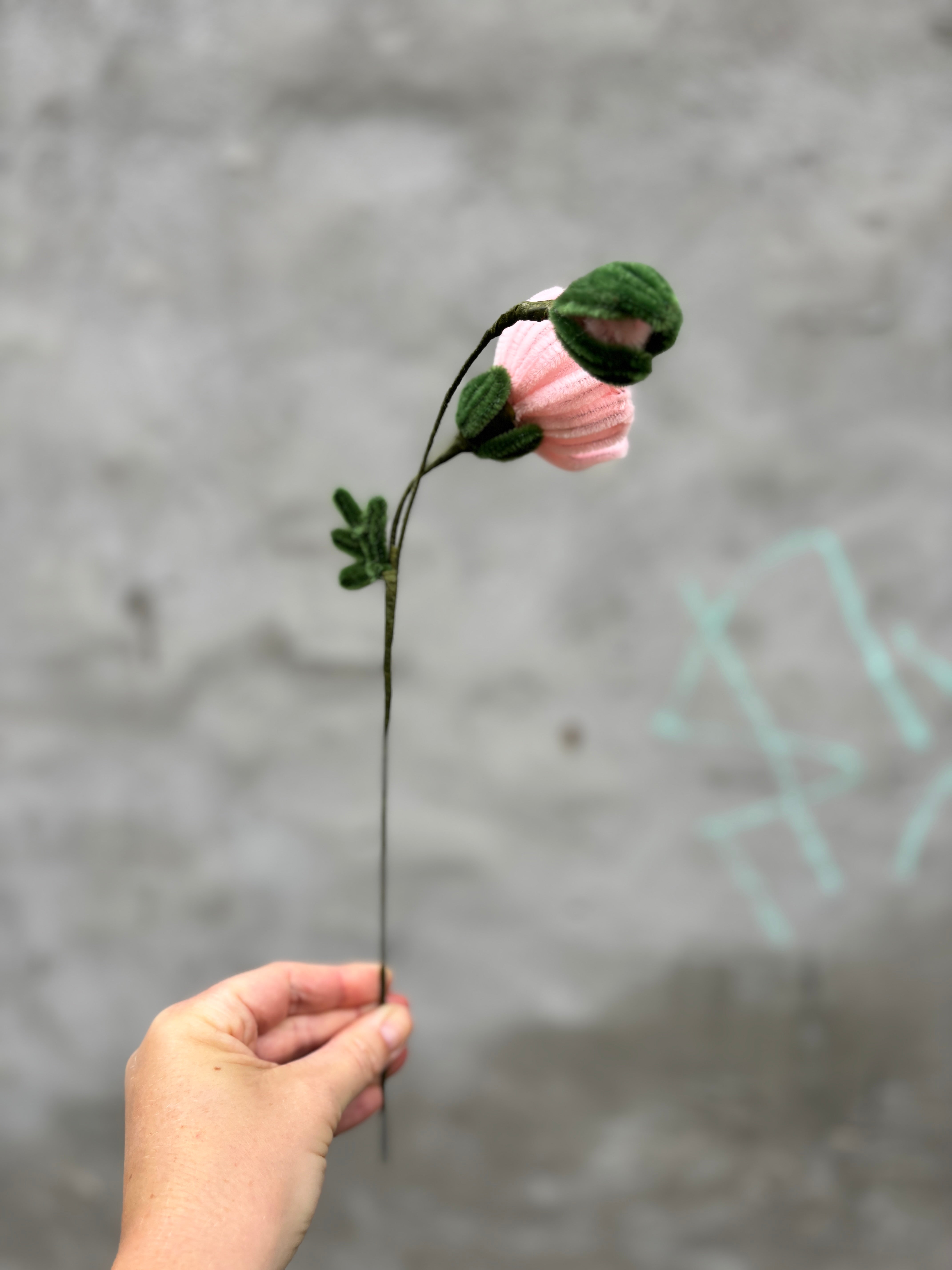 Lyserød blomsterstilk