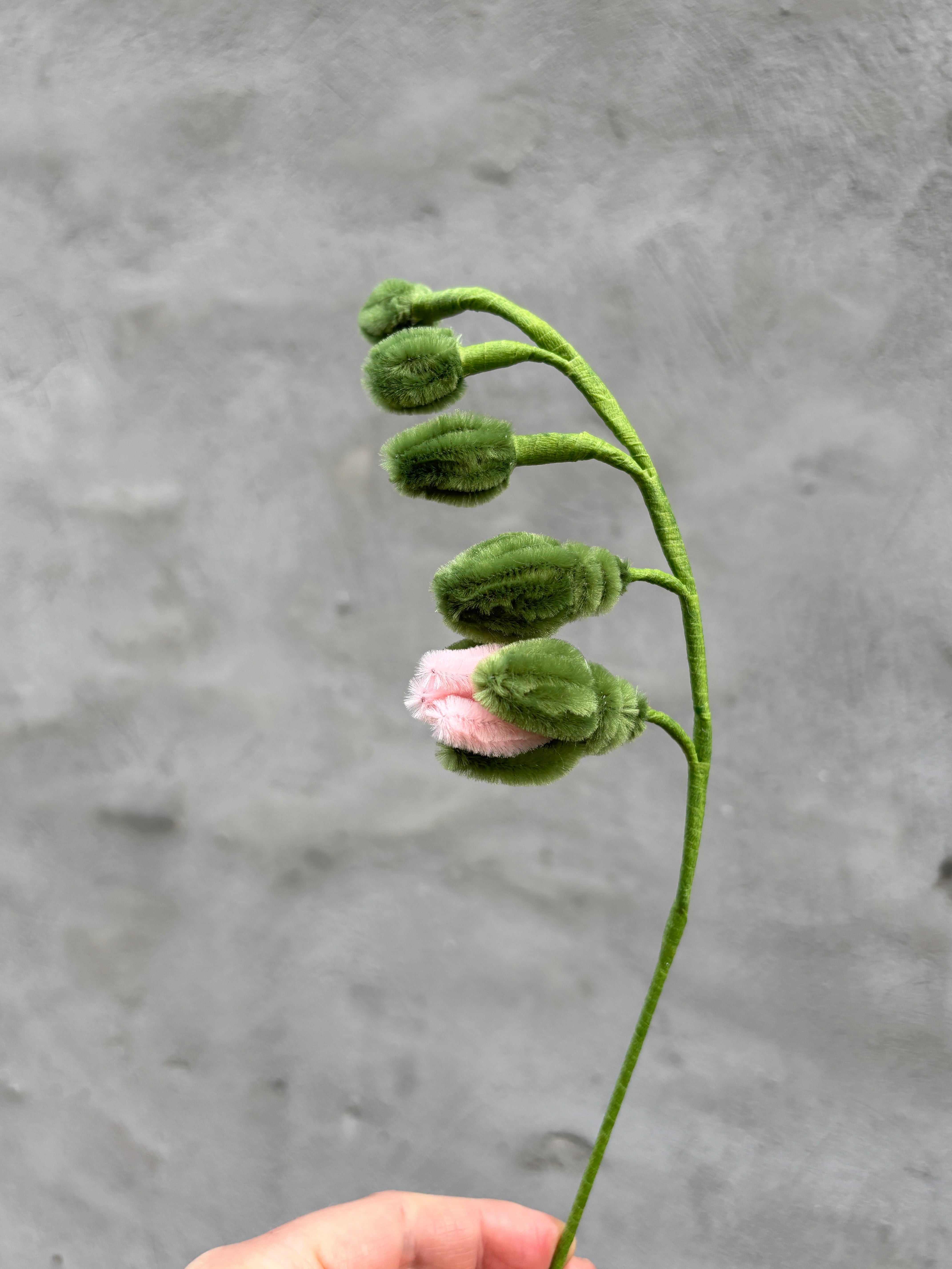 Lyserød blomsterranke