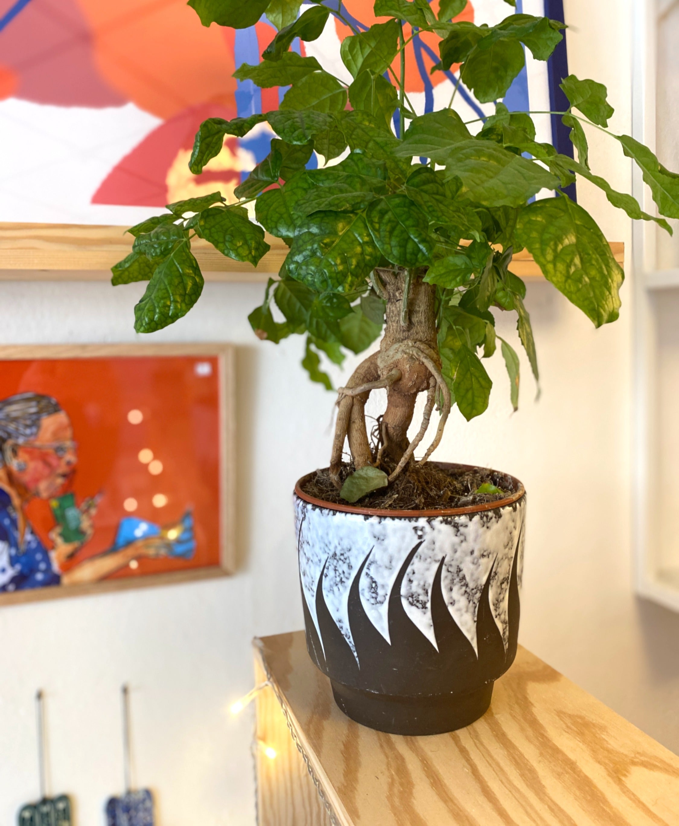 Keramisk potteskjuler