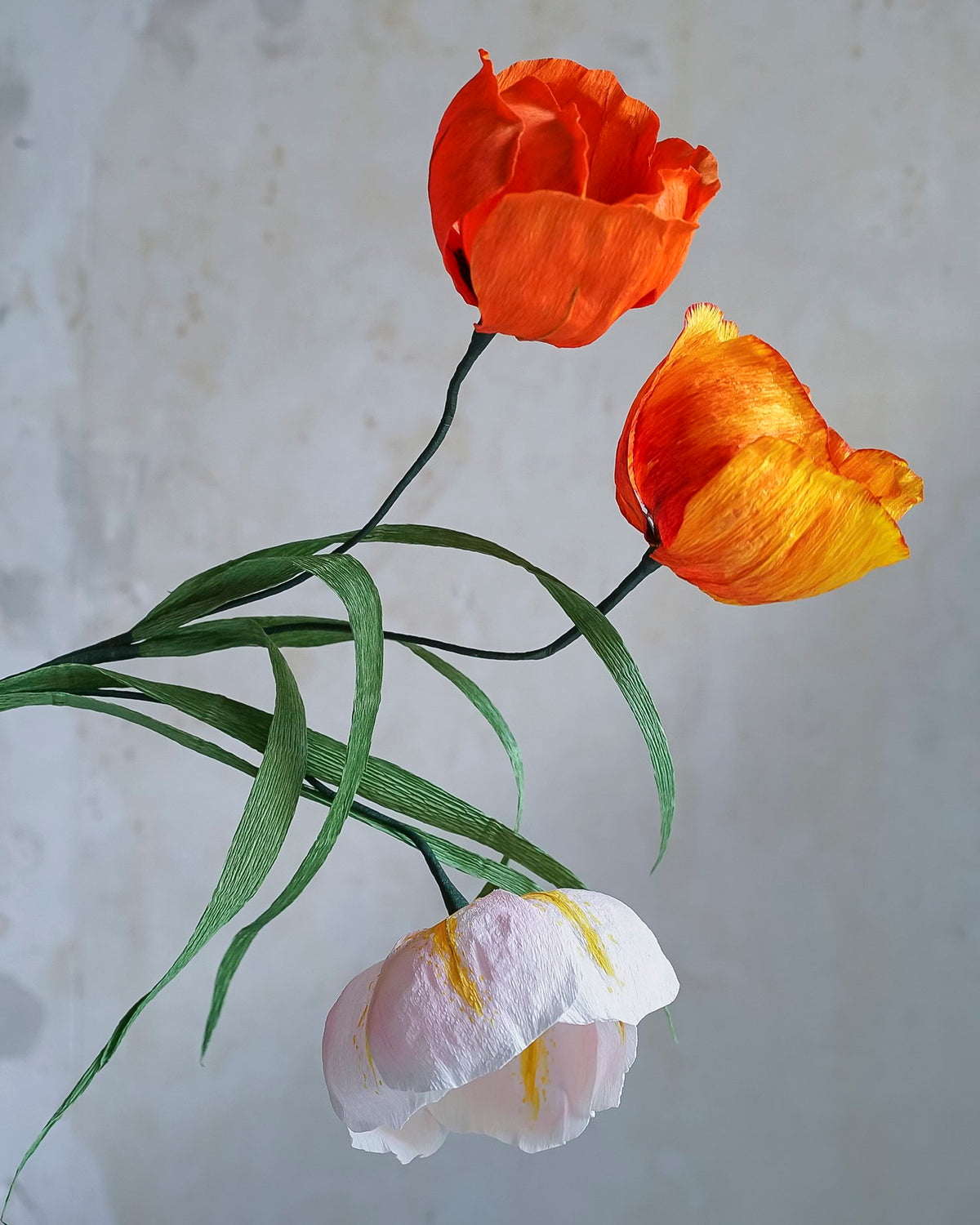 Large garden tulip /bright pink