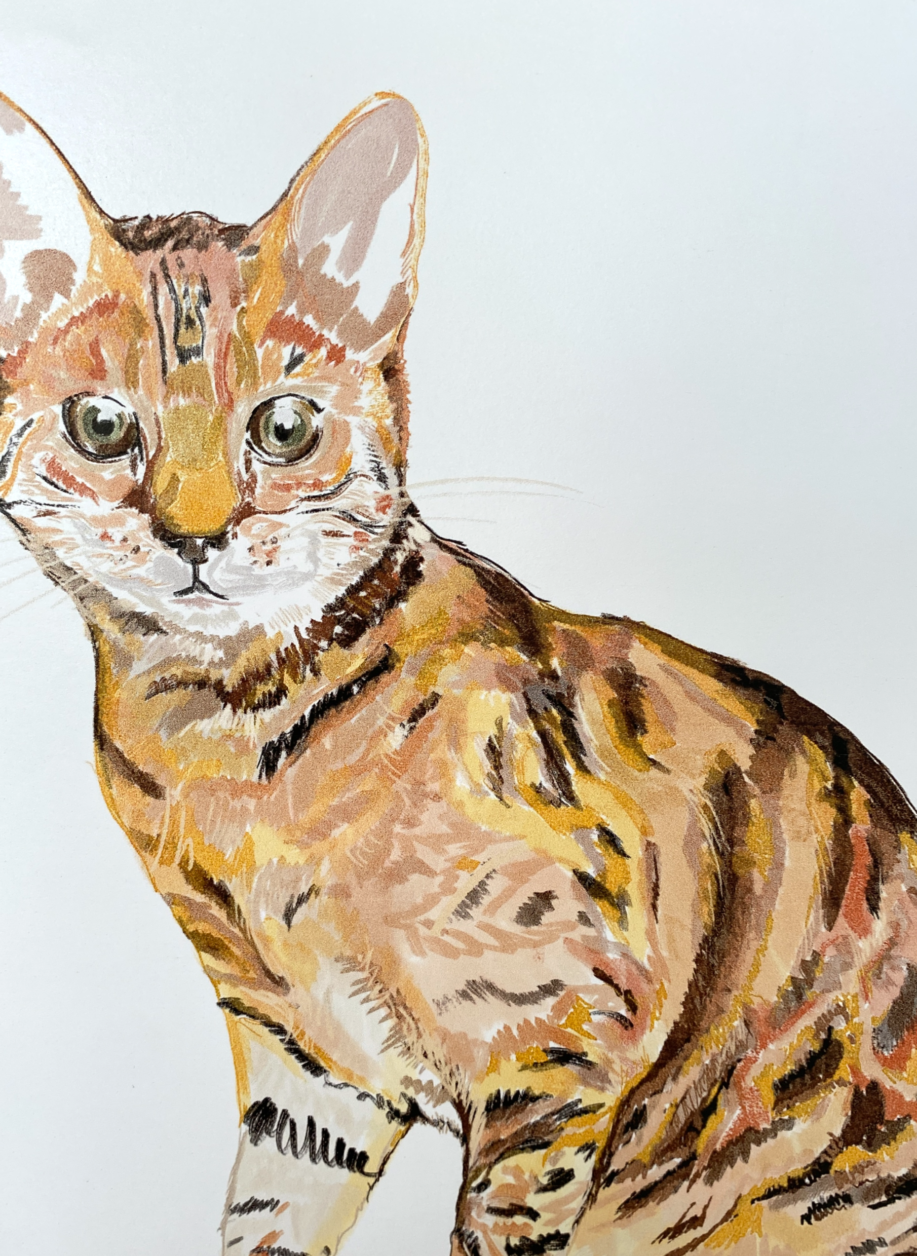 Cat print A4 - indrammet