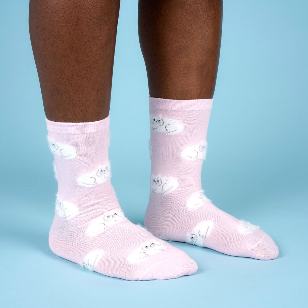 Persian cat socks