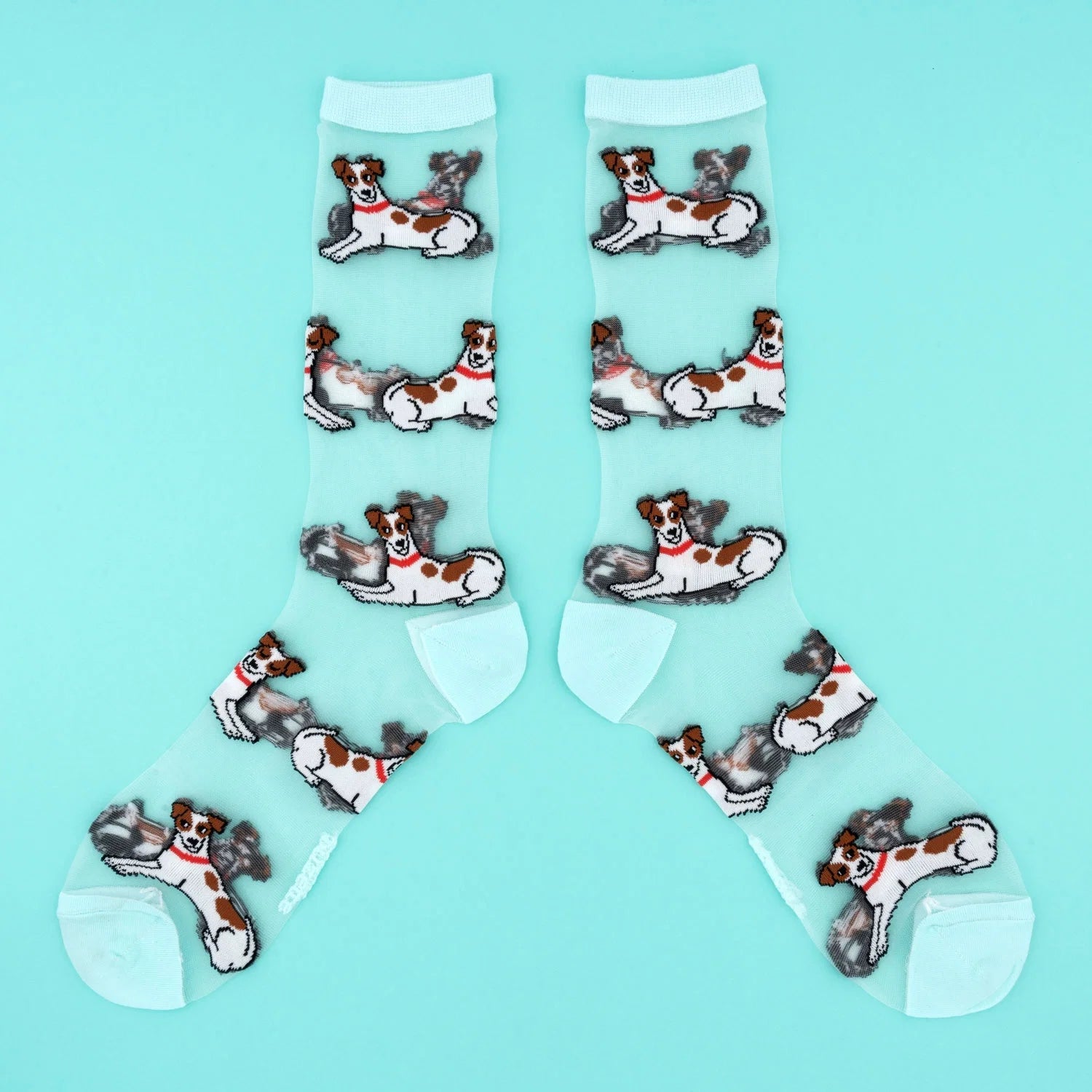 Jack Russell socks, sheer