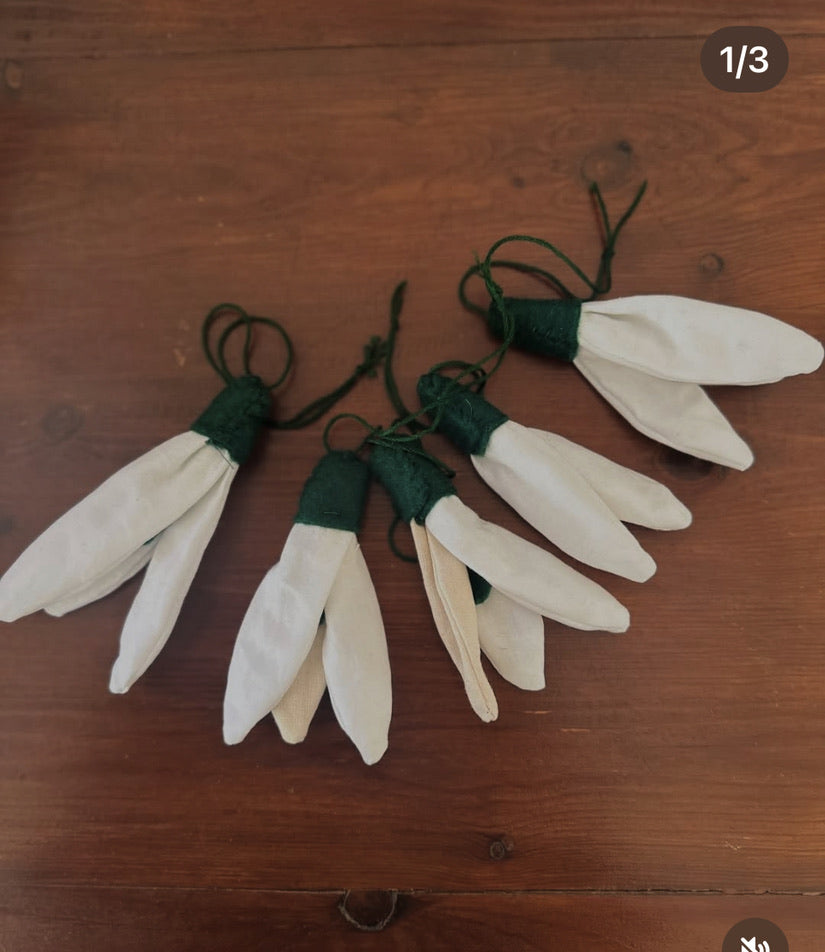 Vintergækker til ophæng