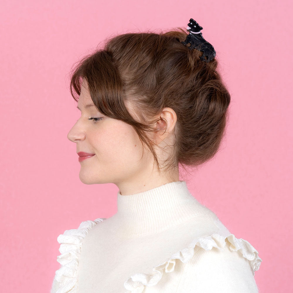 Staffordshire bull terrier, hårklemme