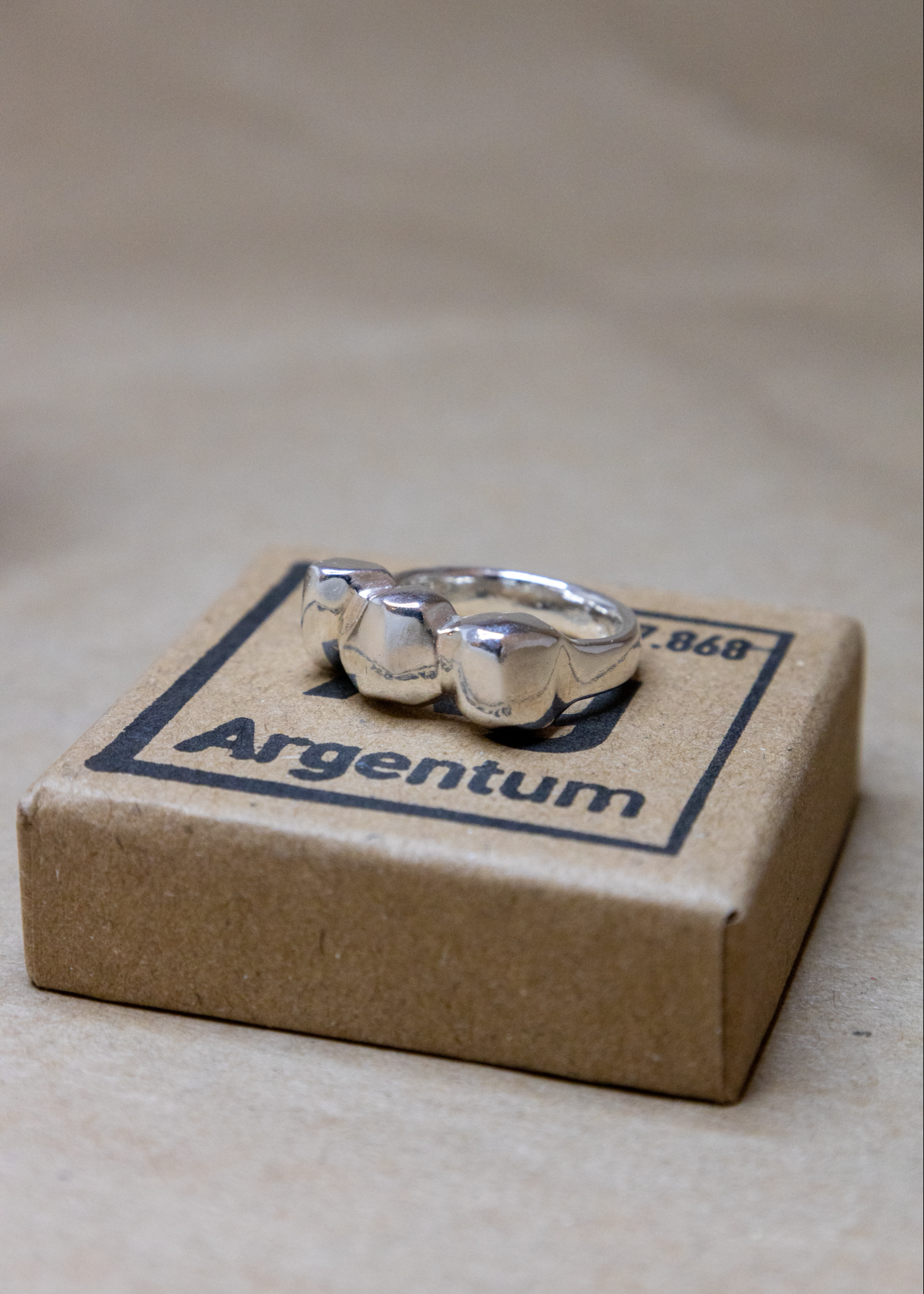 Sandstøbt sølvring (str. 54)