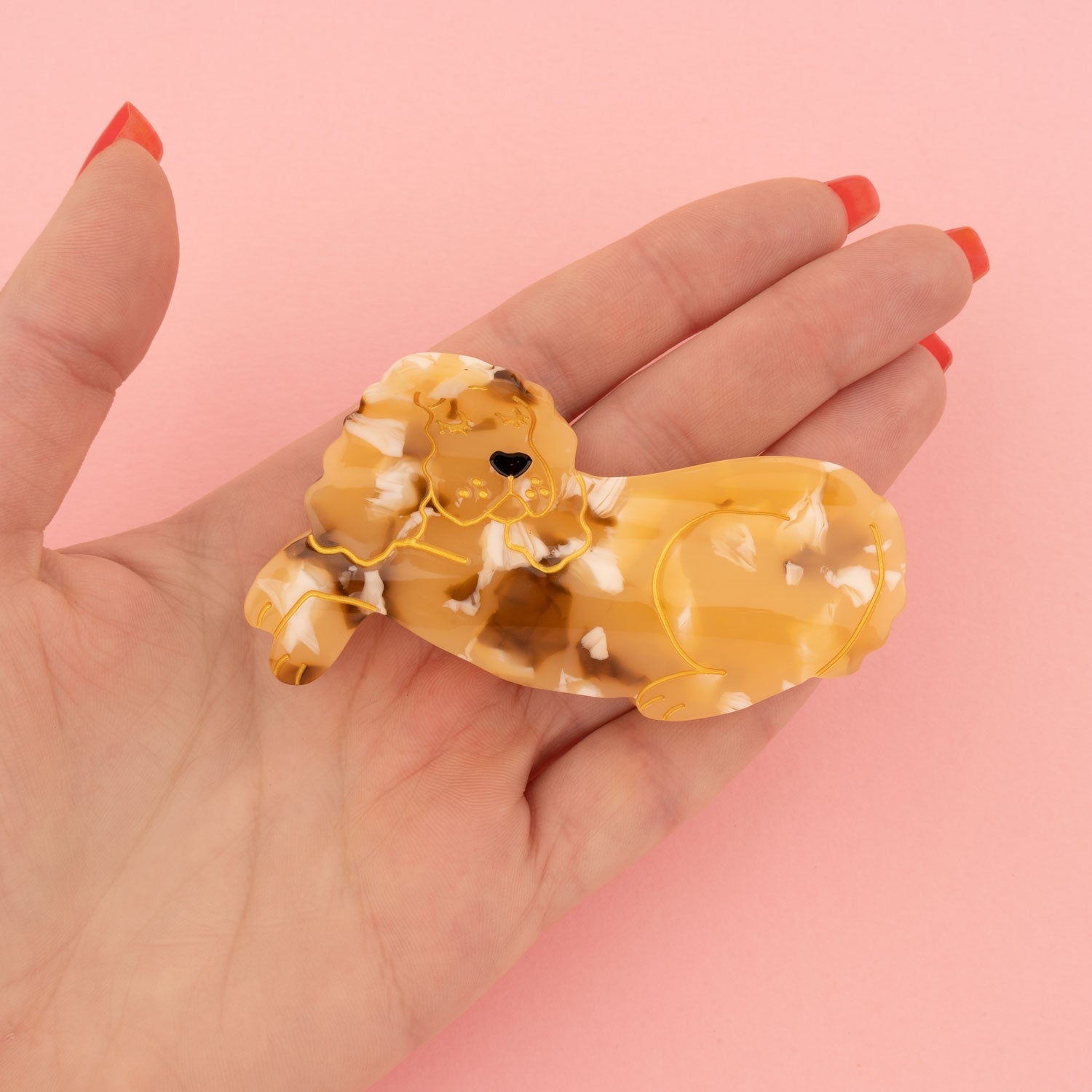 Cockerspaniel, hårklemme