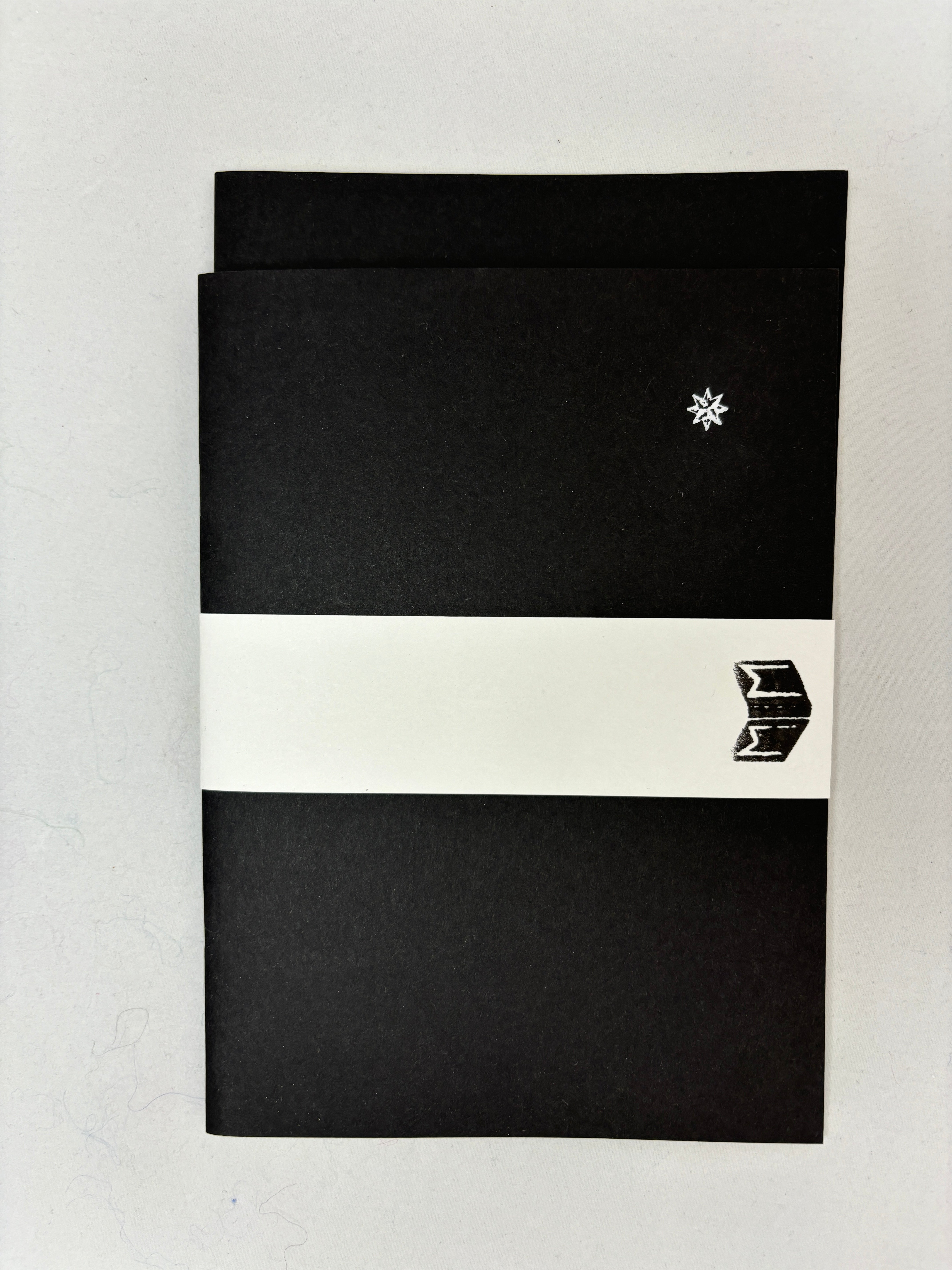 2xA5 notebooks, black