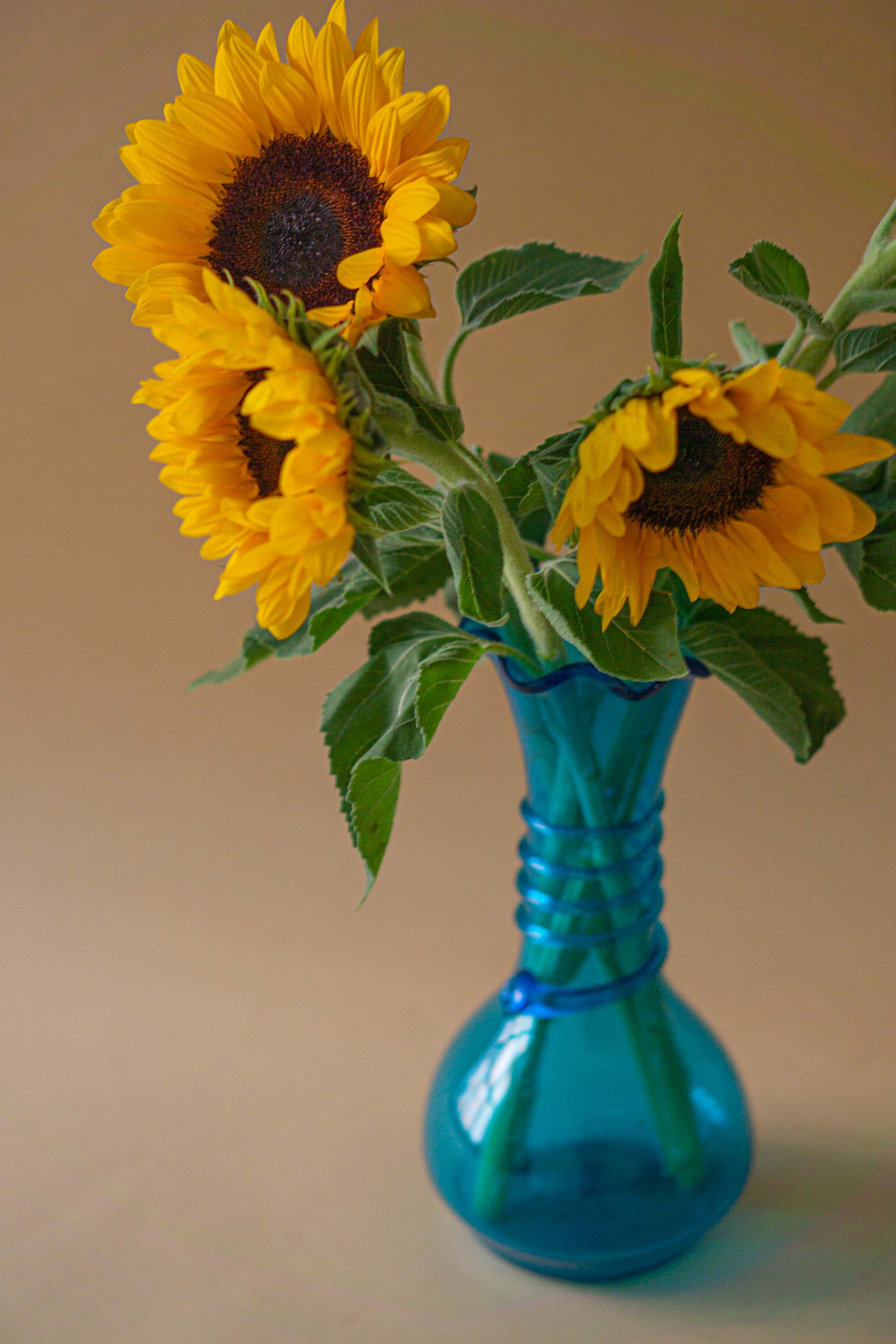 Store mundblæste glasvaser