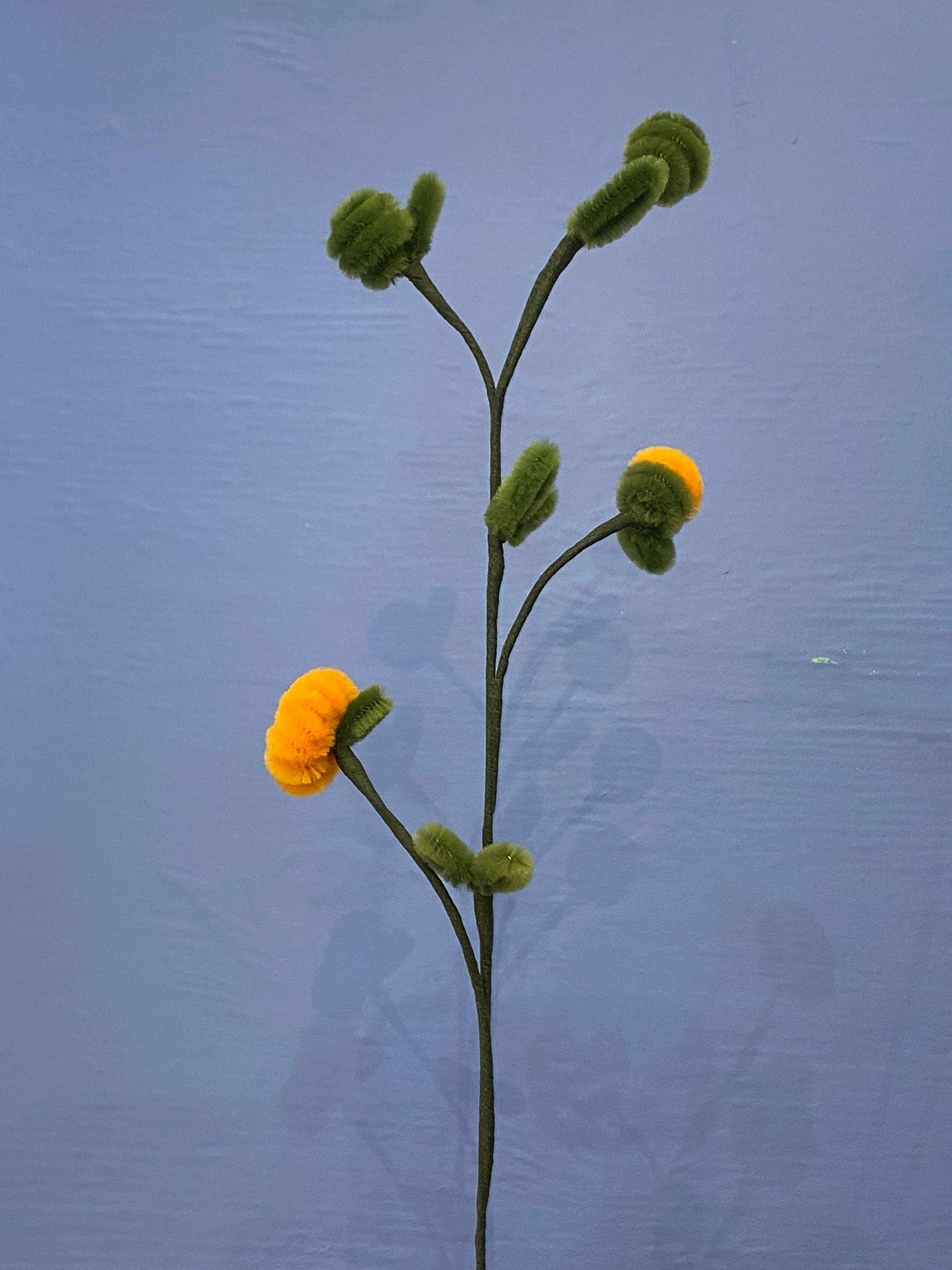 Orange ung blomsterranke 1