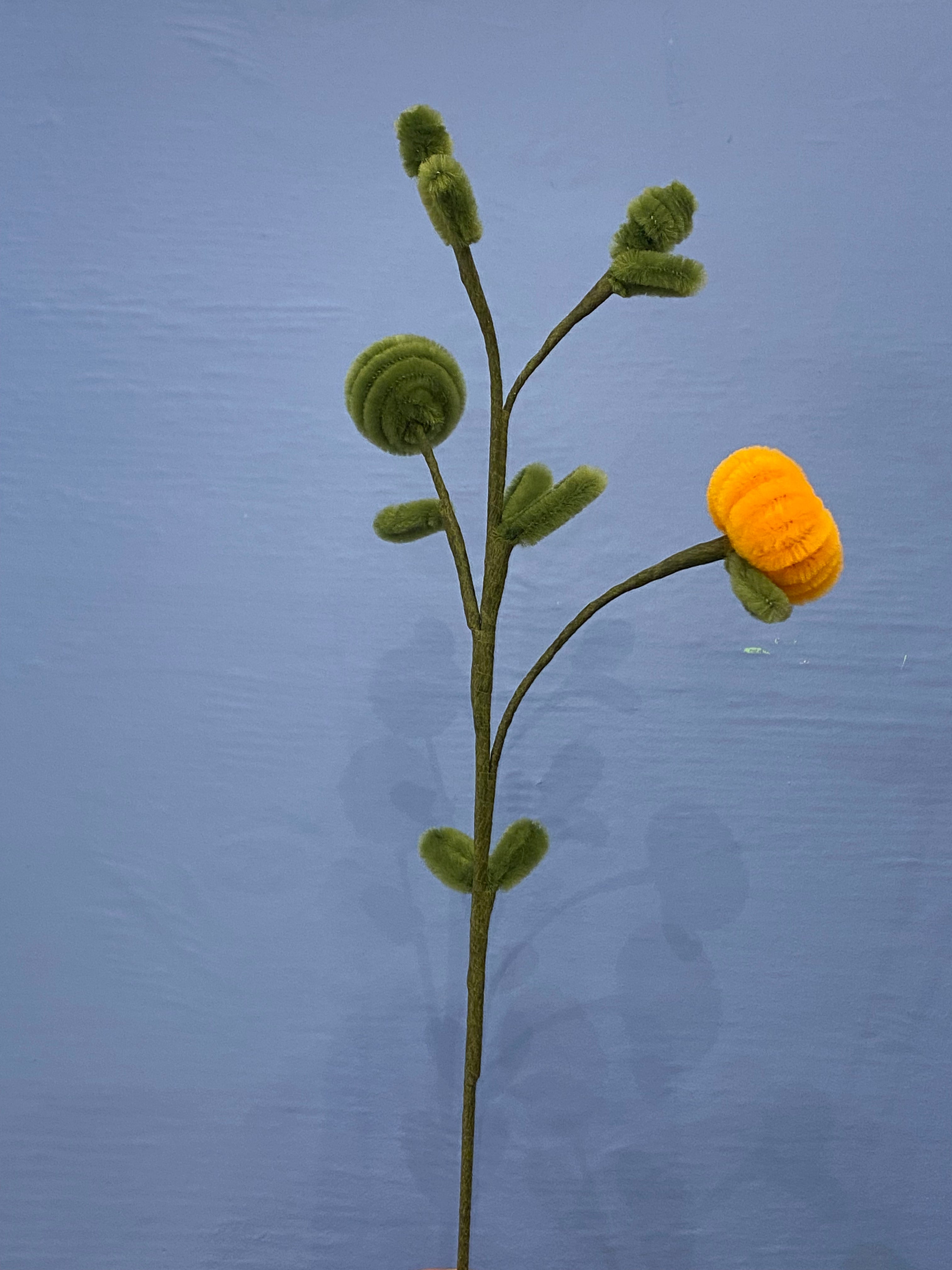 Orange ung blomsterranke 2