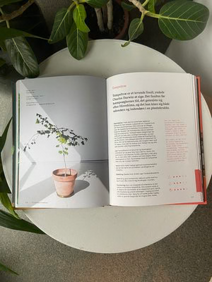 Gro - Grønne planter indendørs