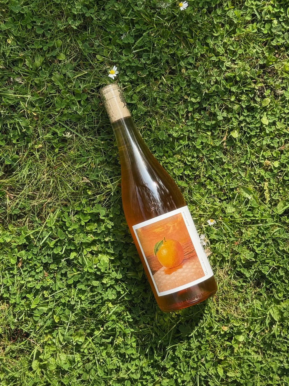 MERSEL - Jaffa Crush (orange)