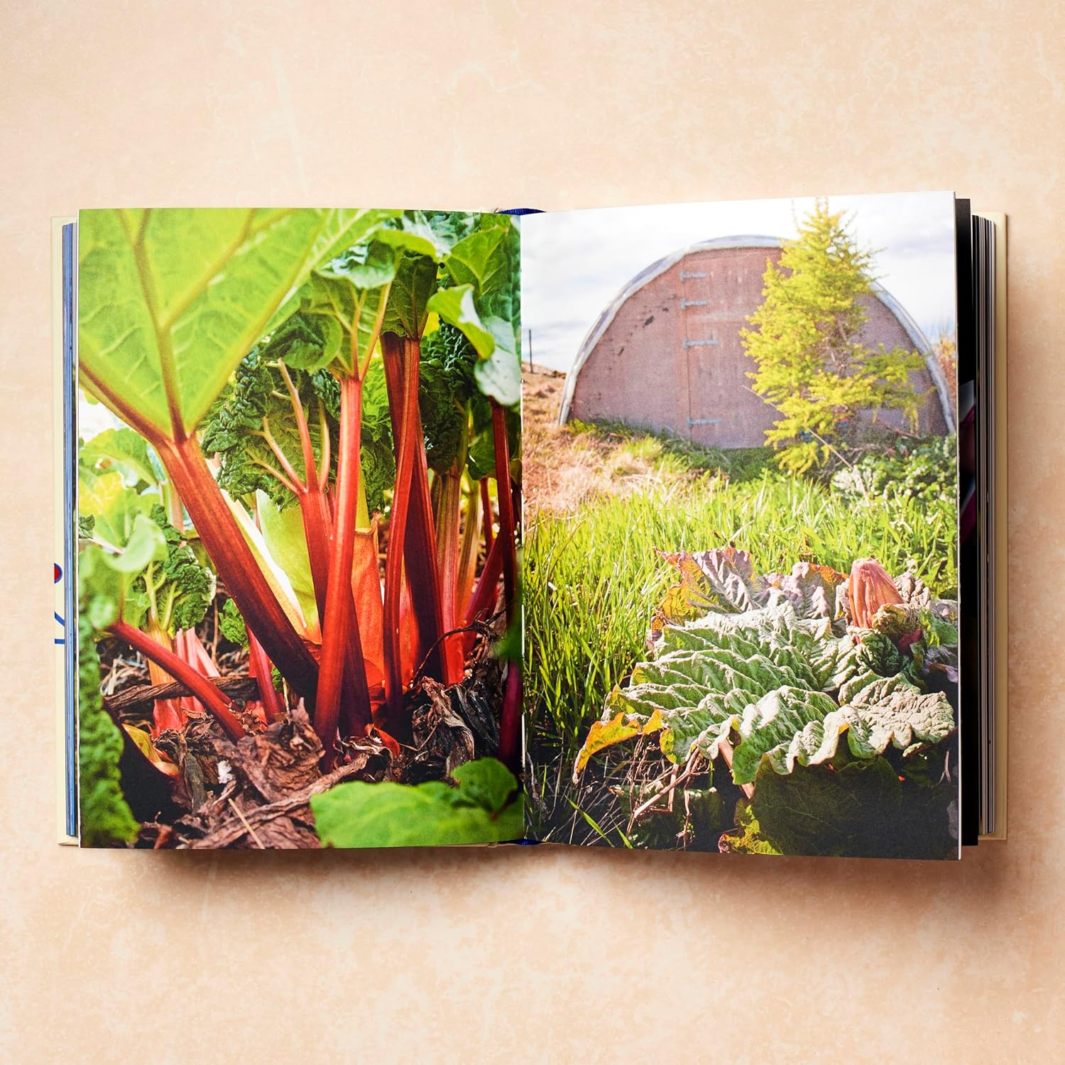 Scandinavia - Recipes & Ingredients