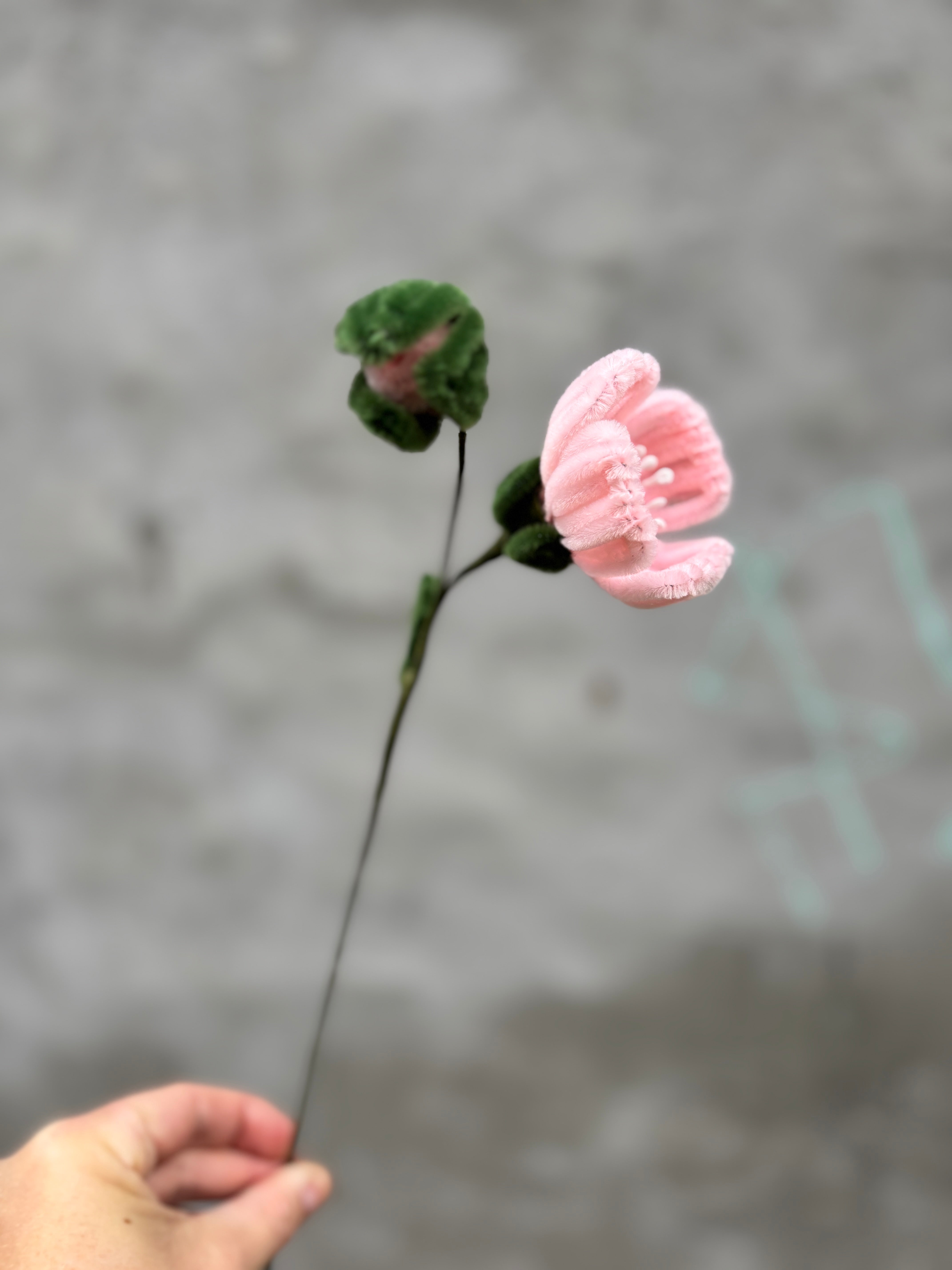 Lyserød blomsterstilk