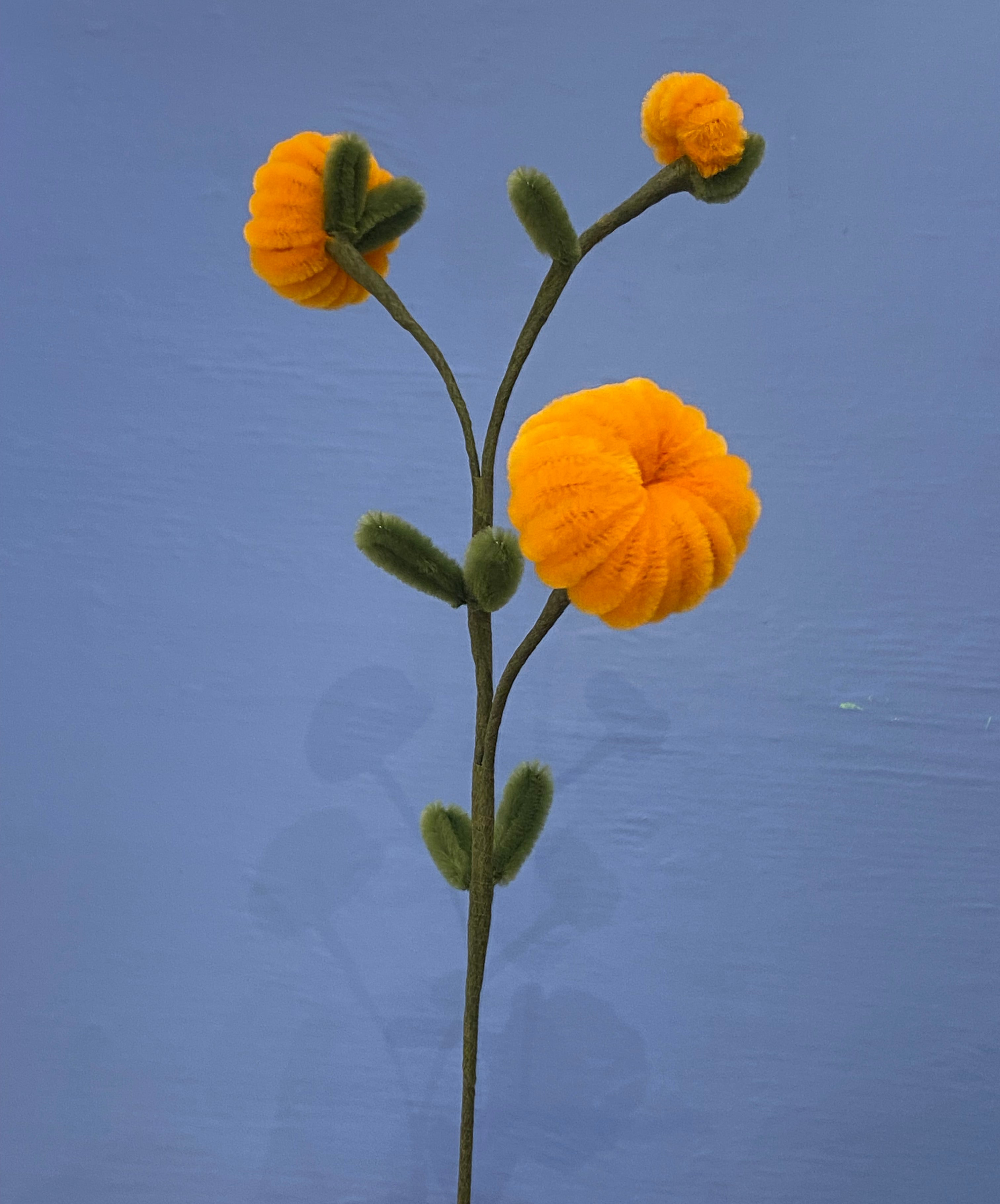 Orange blomsterranke