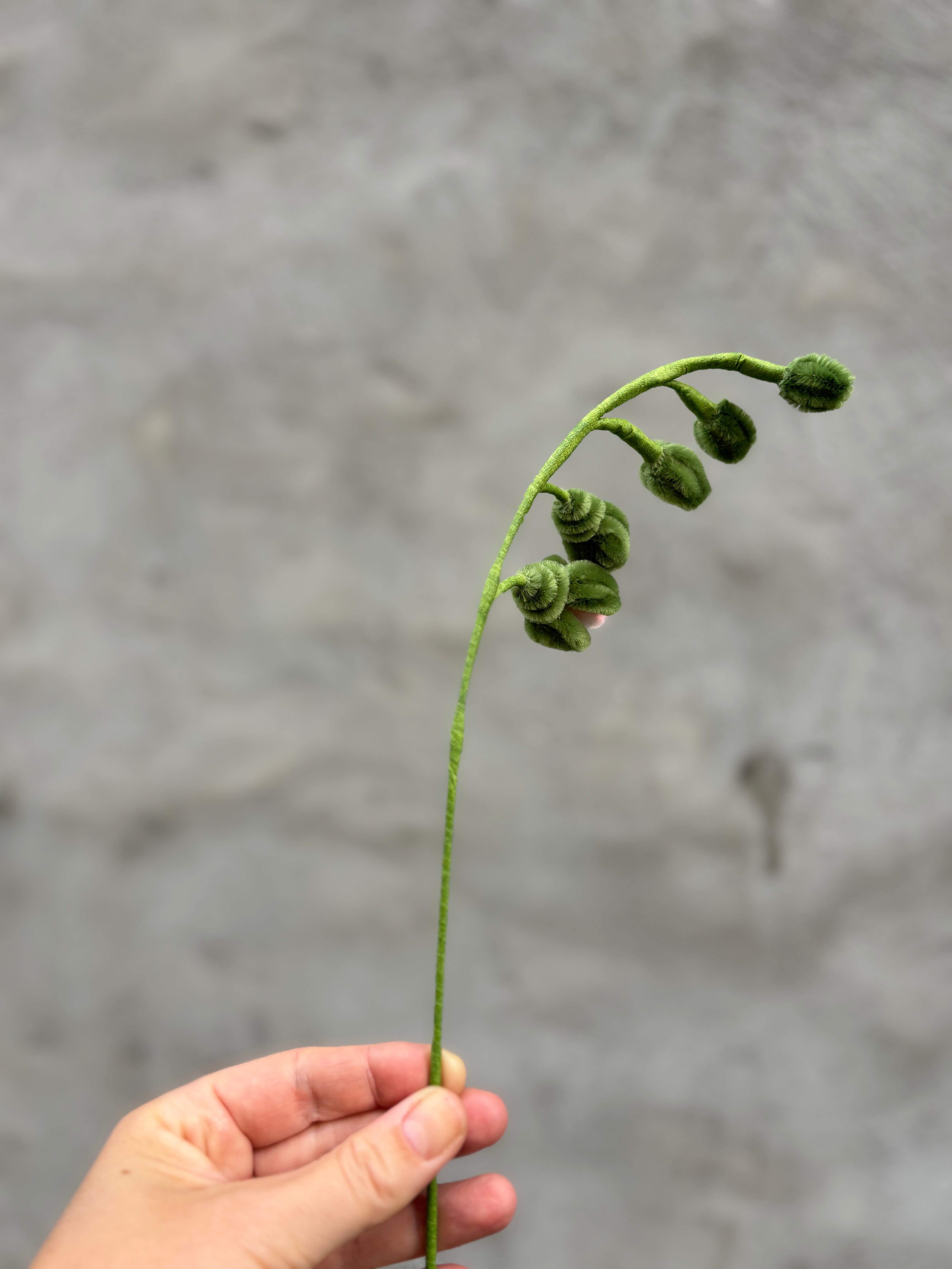 Lyserød blomsterranke