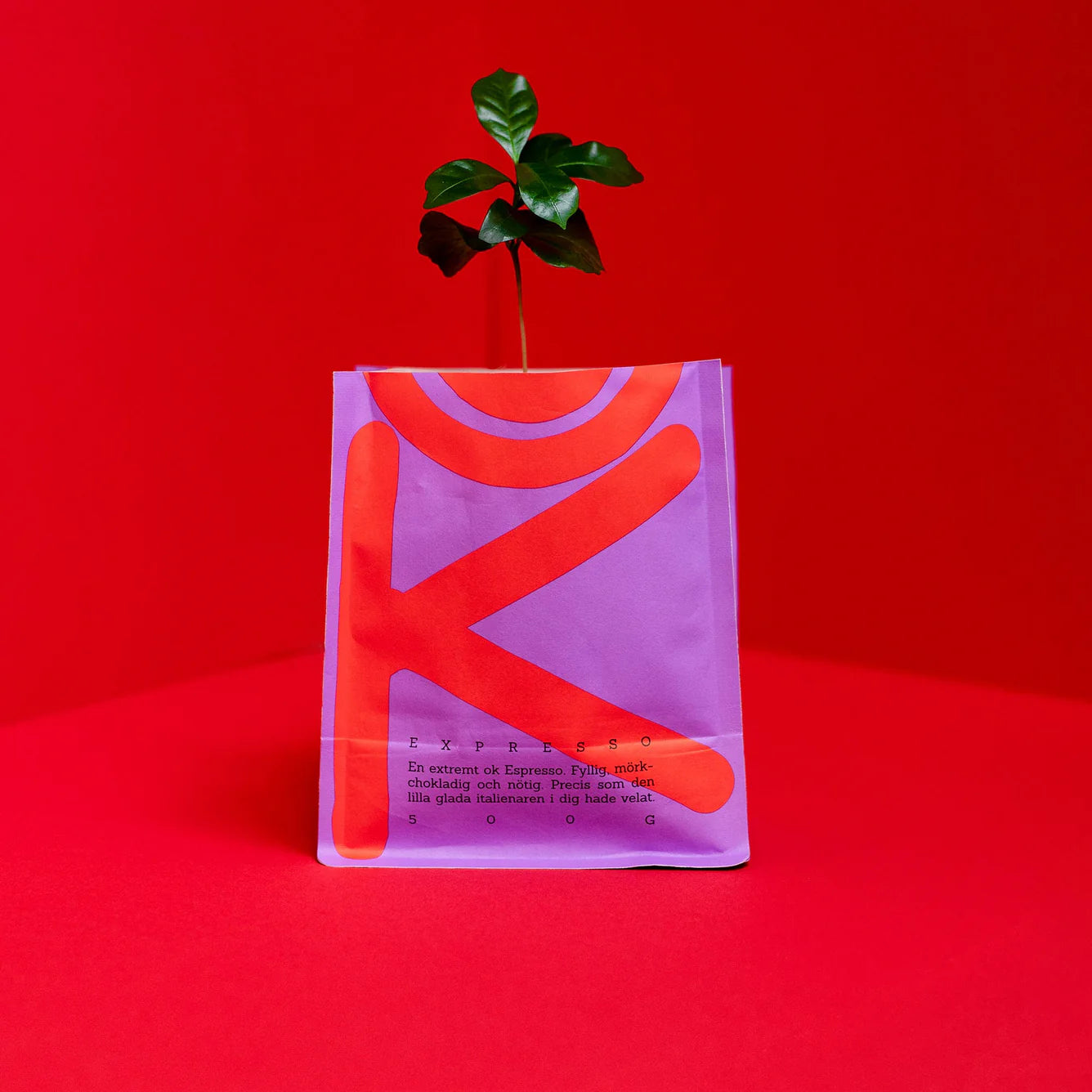 Ok Ciao - Espresso coffee - 500g - Whole beans