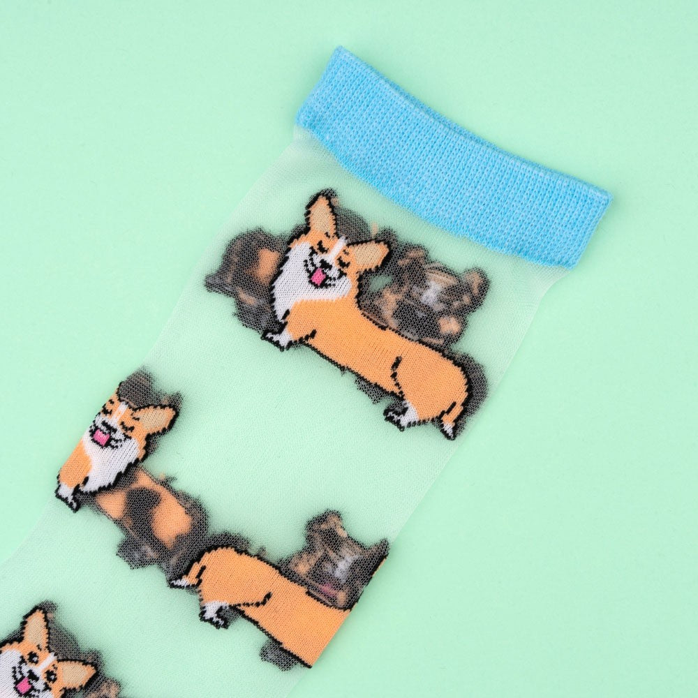 Corgi socks, sheer