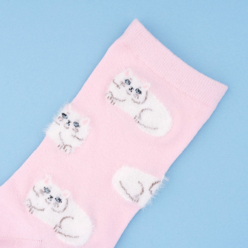 Persian cat socks