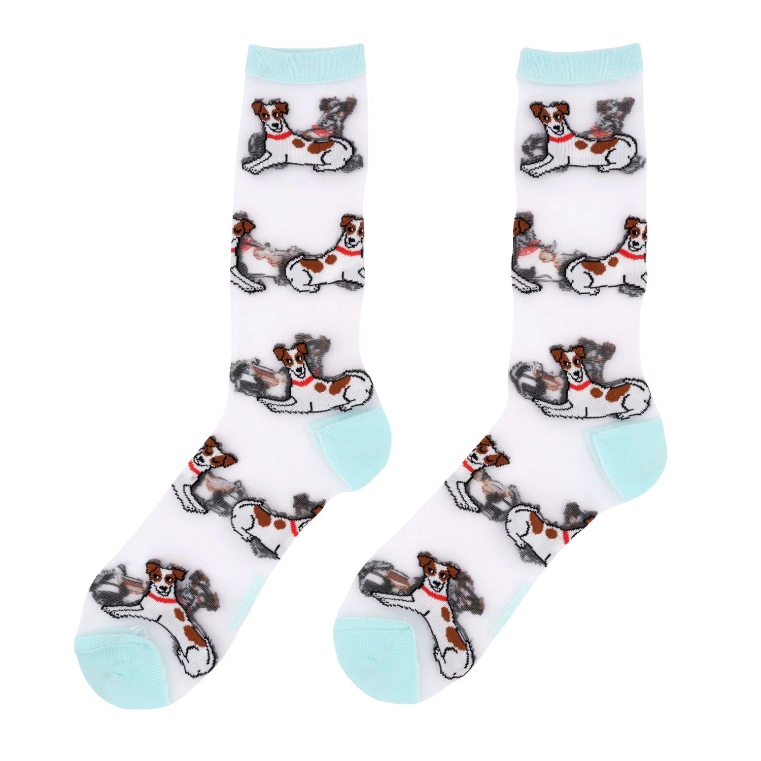 Jack Russell socks, sheer