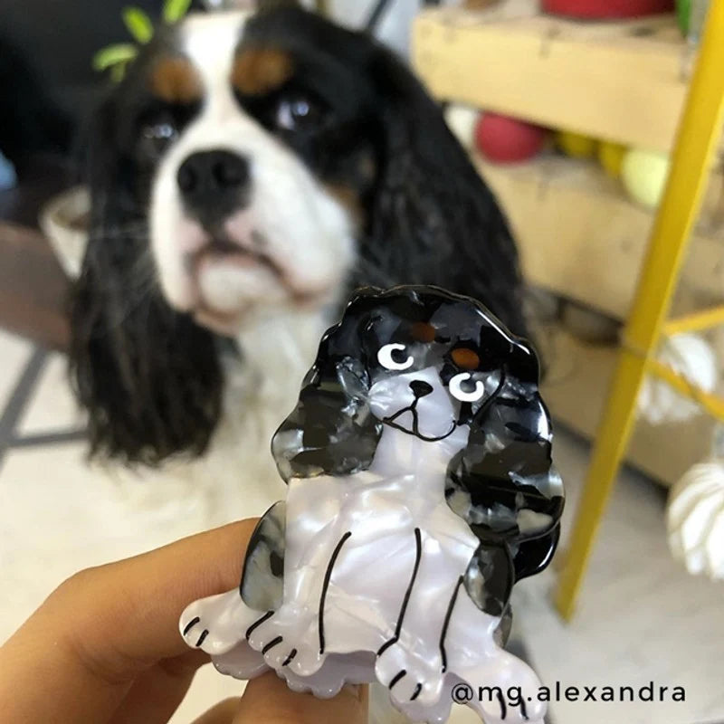 Cavalier, hårklemme