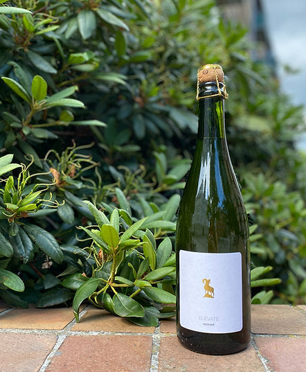 MERSEL - Elevate Merwah Sparkling (petnat)