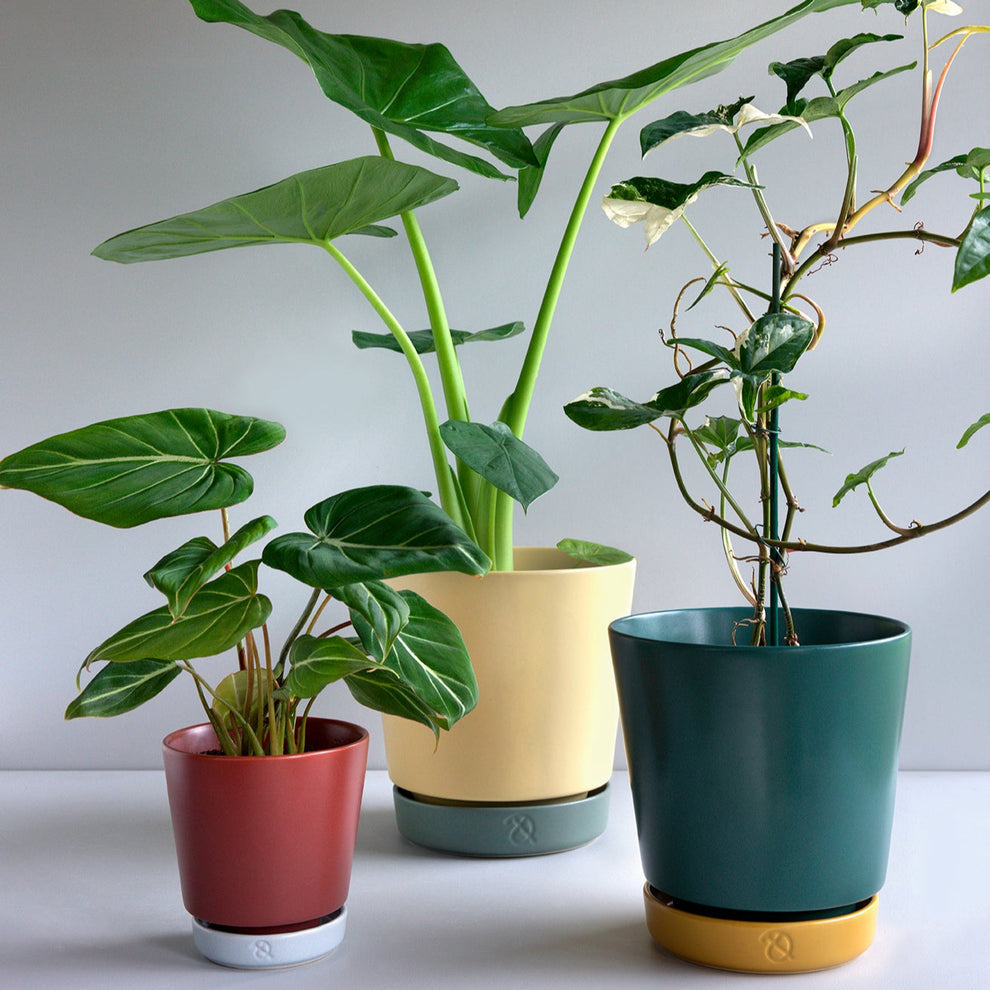 Clay Play flower pot - Pine/mustard