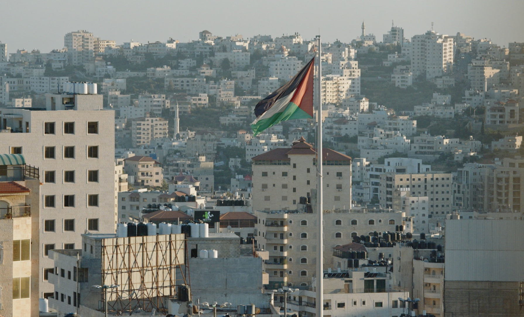 Spatel i oliventræ fra Vestbredden