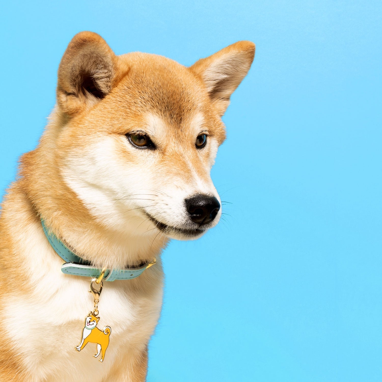 Shiba Nøglering